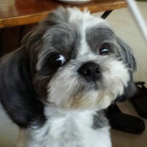 Meet your Posher, Sandra